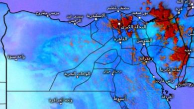 توقعات الطقس: حرارة شديدة وأجواء ضبابية في صباح الخميس شمال البلاد
أحوال الطقس: ارتفاع درجات الحرارة مع شبورة مائية كثيفة في اليوم المتوقع
الأرصاد الجوية: طقس الخميس يشهد حرارة مرتفعة وشبورة مائية على السواحل الشمالية
أجواء الخميس: شديدة الحرارة نهارًا مع كثافة شبورة صباحية على شمال البلاد