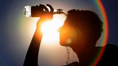 توقعات الطقس غداً تحذر من ارتفاع الحرارة والشبورة
تحذيرات الأرصاد غداً: حرارة مرتفعة وشبورة كثيفة
الأرصاد الجوية تعلن: طقس حار غداً مع احتمالية للشبورة
بيان الأرصاد: حر وشبورة غداً في مختلف المناطق