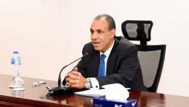 ثمن وزير الخارجية العلاقات الأخوية التاريخية بين مصر والنيجر