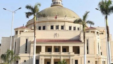 جامعة القاهرة ترفع شعار التميز بتوجهها نحو التصنيف الذهبي في الاستدامة