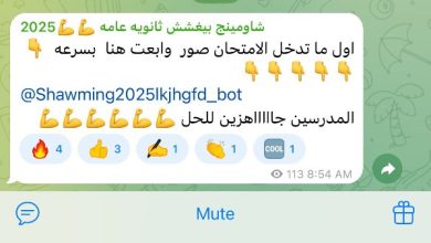 جروبات الغش تستهدف طلاب الثانوية العامة: دعوات لتصوير الامتحانات وإرسالها للمدرسين