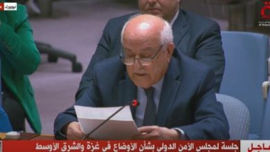 جهود مصر تثمر: مندوب فلسطين بالأمم المتحدة يشيد بالتوصل لوقف إطلاق النار في غزة