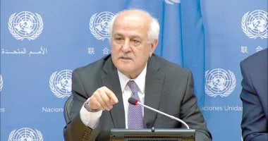 مندوب فلسطين بالأمم المتحدة يشيد بجهود مصر للتوصل إلى وقف إطلاق النار في غزة