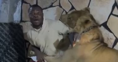 أسد يهاجم عمال مزرعة فى ليبيا.. وسلطات طرابلس تحقق فى الواقعة.. فيديو