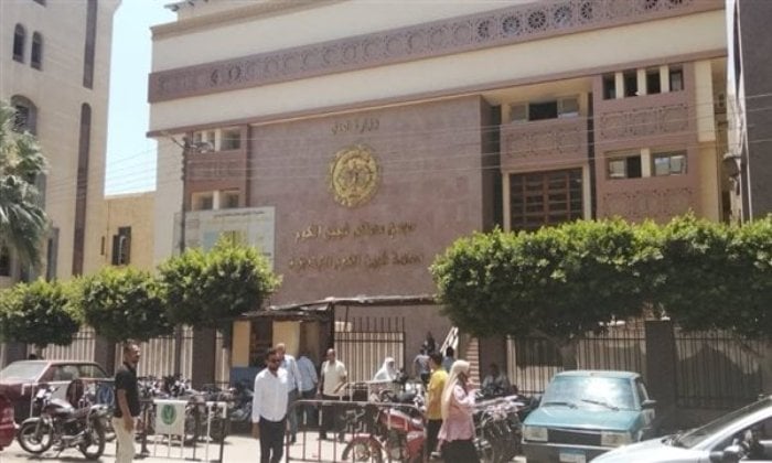 حبس أم 10 سنوات بتهمة قتل رضيعها غرقًا في البانيو بالمنوفية