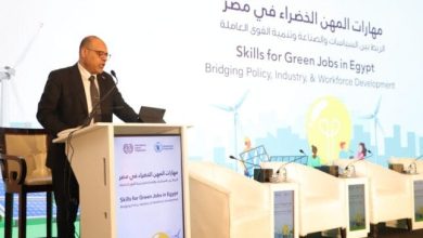حرص وزير العمل على تزويد القوى العاملة بالمهارات اللازمة للانتقال نحو الاقتصاد الأخضر