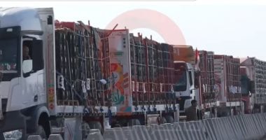 مصدر للقاهرة الإخبارية: دخول 117 شاحنة مساعدات أمس لغزة من معبرى زكيم وكرم أبو سالم