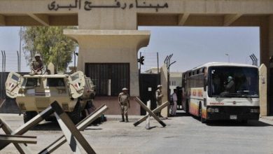 دعوات التظاهر... نائب يتهم الجماعة الإرهابية بالتحريض ضد مصر