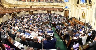 رئيس التعبئة والإحصاء: اعتبرنا المستأجرين البالغين 60 عاما سكانا أصليين
