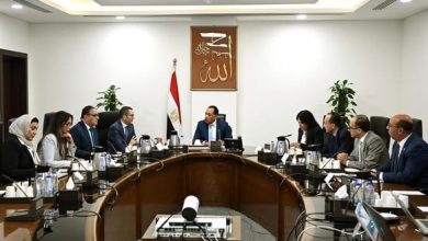 رئيس الوزراء يتابع جهود تطوير الإفراج الجمركي مع وزير الاستثمار
