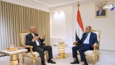 رئيس وزراء اليمن يحذر من تهديد الحوثيين للملاحة وتأثيره على باب المندب وقناة السويس