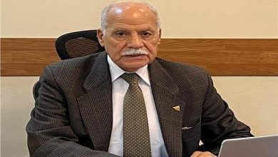 رفض الحزب العربي الناصري الدعوات الهدامة مؤكدًا صمود مصر بوعي شعبها وجيشها وشرطتها