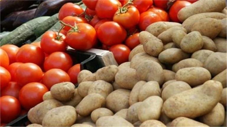 زيادة إنتاج المحاصيل الزراعية يشعل التفاؤل.. وزير الزراعة: البطاطس والطماطم ترتفع إنتاجيتهما 15%