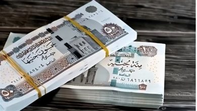 زيادة البحث عن رابط الاستعلام عن معاش تكافل وكرامة 2025