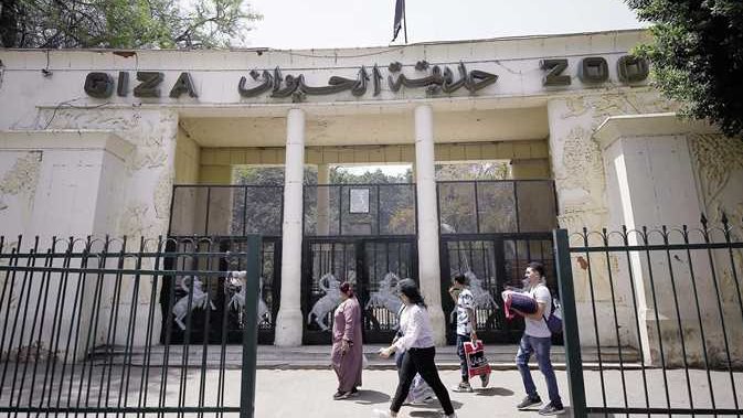 سعر تذكرة حديقة الحيوان بالجيزة يتجاوز الـ400 جنيه بعد التطوير المنتظر