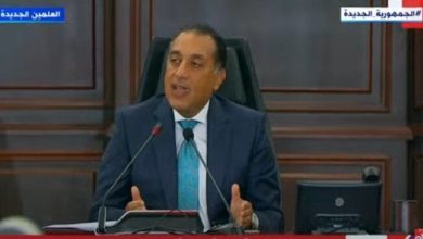 سفن التغويز تدخل الخدمة في مصر رسمياً، رئيس الوزراء يكشف التفاصيل
