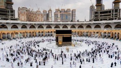 شروط جديدة للإشراف على العمرة لشركات السياحة
ضوابط العمرة المصرية تحدد معايير المشرفين للعام الجديد
وزارة السياحة تكشف عن شروط قبول مشرفي العمرة للموسم القادم
