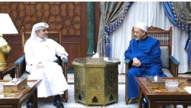 شيخ الأزهر يؤكد: «السلام الحقيقي لفلسطين مرهون بحقوق الشعب»