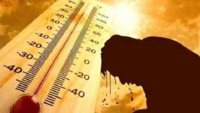 طقس اليوم.. تحذيرات هامة من الأرصاد بشأن الحر والشبورة