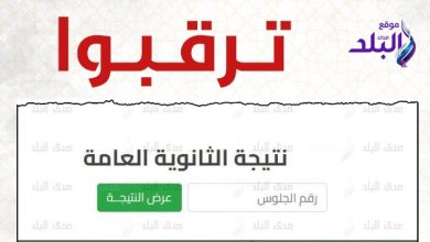 ظهور نتيجة الثانوية العامة 2025 خلال أيام، وزير التعليم يؤكد موعد الإعلان