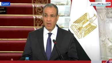 عبد العاطي يطالب المجتمع الدولي بتحمل مسؤولياته لوقف العدوان الإسرائيلي على غزة والضفة