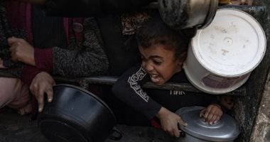 عشائر فلسطين: وقف العدوان على غزة ضرورة ملحة ونثق بدور مصر المحوررى