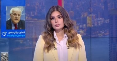 مندوب فلسطين بالأمم المتحدة: لابد من عقوبات موجعة لوقف جرائم الاحتلال