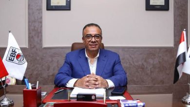 عمرو مصيلحي
