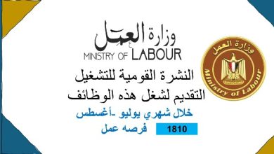 فرص عمل جديدة في 11 محافظة تصل إلى 1810 وظيفة تفاصيل الرواتب والتقديم
