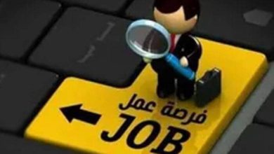فرص عمل جديدة في الأردن بمجال تربية الدواجن تصل إلى 15 وظيفة