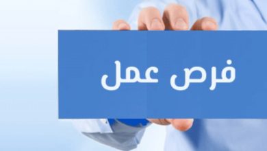 فرص عمل مميزة... وزارة العمل تتيح مرتبات تصل لـ10 آلاف جنيه في محطات المترو