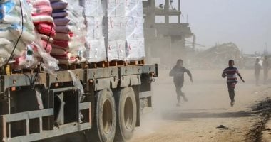 المقررة الأممية لحقوق الإنسان: يجب مثول قادة إسرائيل مرتكبي جرائم الإبادة أمام العدالة