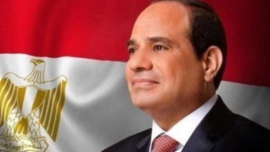 قرار جمهوري بتعيين أحمد سعد علي الشاذلي مستشارًا ماليًا للرئيس السيسي