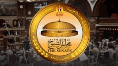 قواعد جديدة لتصويت الخارج وضوابط الدعاية في انتخابات الشيوخ من «الوطنية للانتخابات»