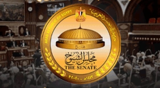 قواعد جديدة لتصويت الخارج وضوابط الدعاية في انتخابات الشيوخ من «الوطنية للانتخابات»