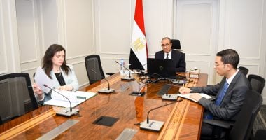 وزير الخارجية يشارك في اللقاء الافتراضي مع الجالية المصرية بواشنطن ونيويورك