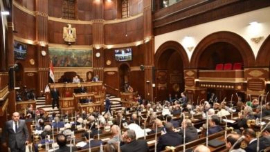 مجلس الشيوخ يشكل منعطفاً رئيسياً في بناء الجمهورية الجديدة وتعزيز التجربة البرلمانية