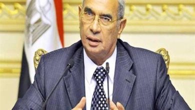 مجلس الشيوخ يعزز الحياة السياسية وفقًا لرفعت قمصان