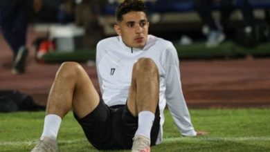 محمد رضا