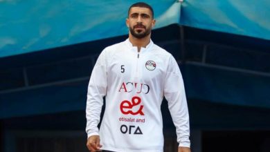محمد ربيعة