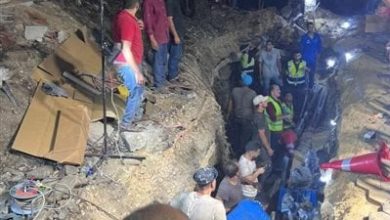 مد الكابل الأخير في محطة محولات كهرباء جزيرة الذهب والتيار يعود خلال ساعات