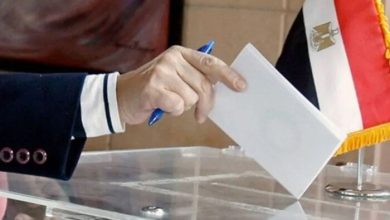 مشاركة الأحزاب السياسية في انتخابات «الشيوخ» واجب وطني ورسالة دعم لمؤسسات الدولة