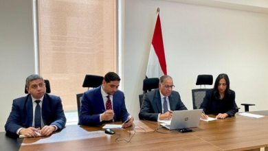 «مشاركة المصريين بالخارج» تحظى بأهمية كبرى وفق نائب وزير الخارجية