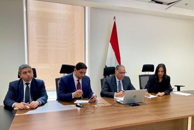 «مشاركة المصريين بالخارج» تحظى بأهمية كبرى وفق نائب وزير الخارجية
