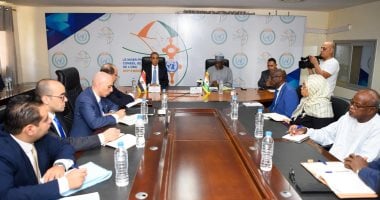 مشاورات سياسية بين وزيرى خارجية مصر والنيجر فى نيامى
