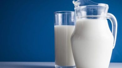 مشكلات صناعة الألبان تتصدر... أبرز التحديات التي تواجه قطاع الألبان في مصر