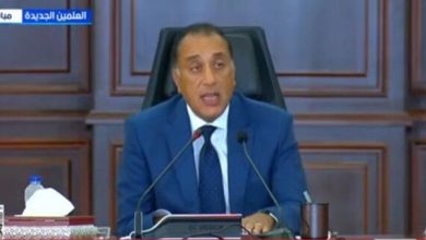 مصر تؤكد: موقف ثابت بشأن القضية الفلسطينية وحل الدولتين شرط للسلام