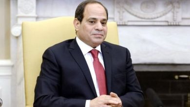 مصر تؤكد: موقف ثابت من القضية الفلسطينية وحل الدولتين هو الخيار الوحيد