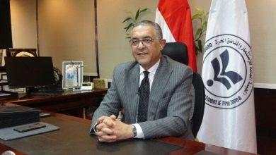 مصر تتجه لتحويل هيئة الاستثمار لمركز إقليمي لتصنيع وتداول المنسوجات والملابس الجاهزة خلال عامين