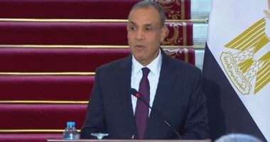وزير الخارجية: مصر في طليعة الدول المقدمة للمساعدات الإنسانية إلى غزة